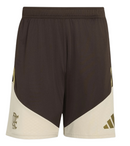 Conjunto Flamengo Treino Comissão Adidas 2026